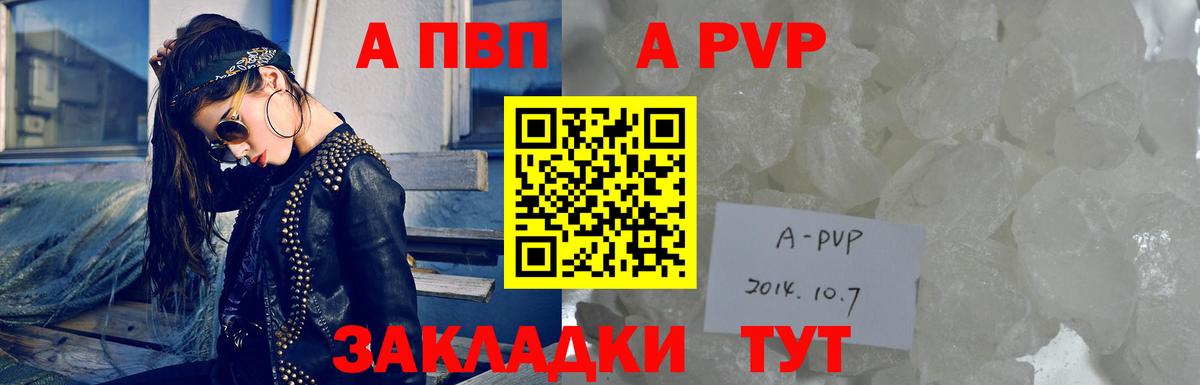 Альфа ПВП СК КРИС Кострома